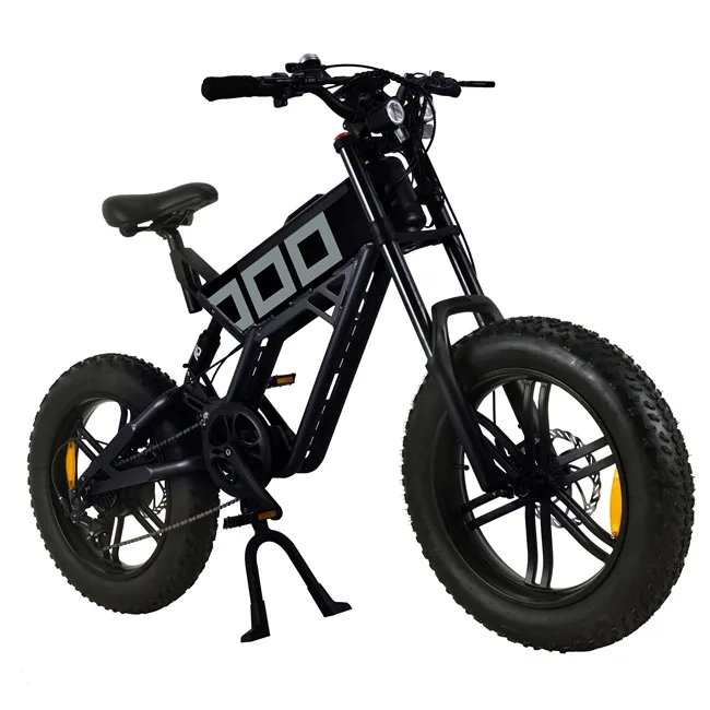 Popular Off Road Electric Bike In 2024